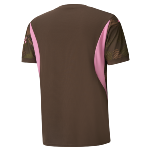 Manchester City Goalkeeper Jersey Brown 2024/25