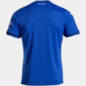Hoffenheim Home Jersey 2024/25