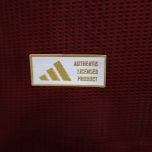 Player Version Aston Villa Home Jersey 2024/25