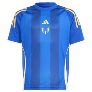 Argentina Messi Pitch 2 Street Blue Training Jersey