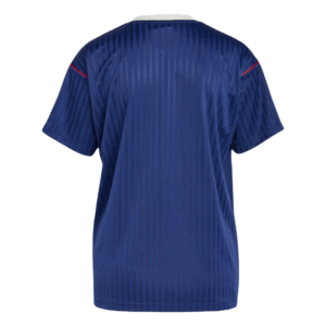 Arsenal Icon Jersey 2025/26