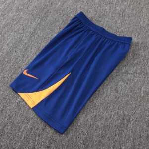 Netherlands Short Sleeve Track Suit 2024/25 MEN522