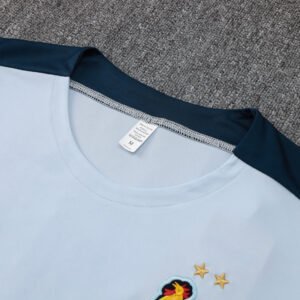 France Short Sleeve Track Suit 2024/25 MEN525