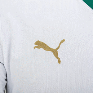 SE Palmeiras Away Jersey 2024