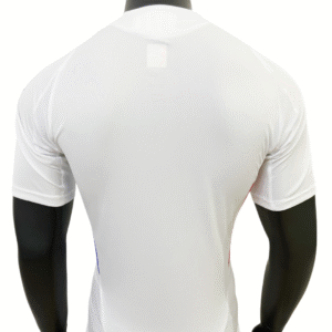 Player Version Olympique Lyonnais Home Jersey 2024/25