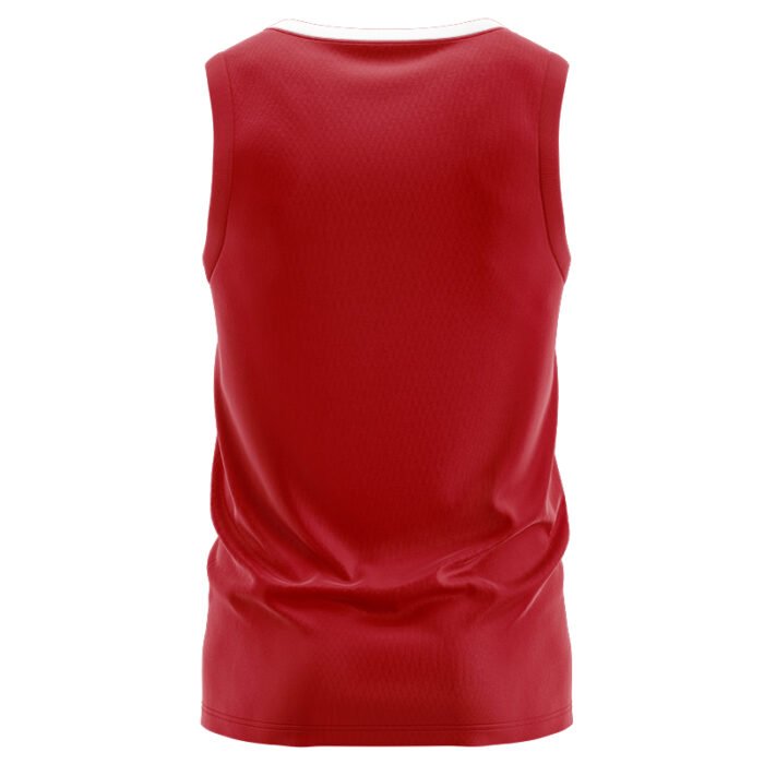 British & Irish Lions 2025 Classic Singlet - Image 2