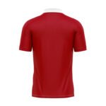 British & Irish Lions 2025 Classic Polo Shirt - Image 2